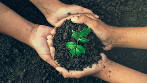 7 Indian Conservation Organisations To Know About On World Conservation Day